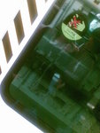 20071226143