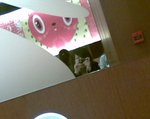 20080102206 (2)
