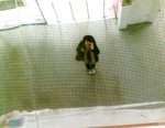 20080102209 (2)