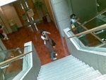 20080319793