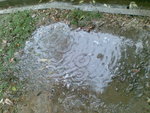 20080322813