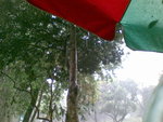 20080322817