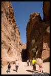 �֯S�� @ Petra, Jordan 