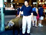 YK_SeattlePig