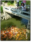 ZhongShan030