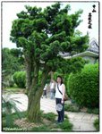ZhongShan047