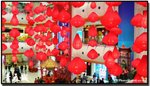 �C�竰CNY2