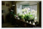 2006-05_Seattle008