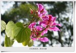 �_�Ϥ媫�|16