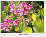 �_�Ϥ媫�|24