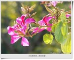 �_�Ϥ媫�|26