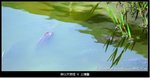�̤s�媫�|14