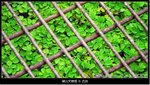 �̤s�媫�|25